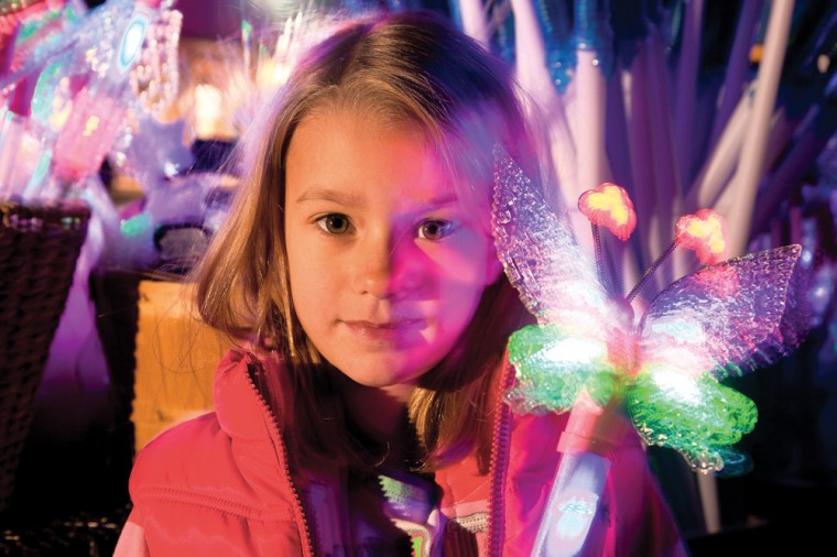 Zoolights